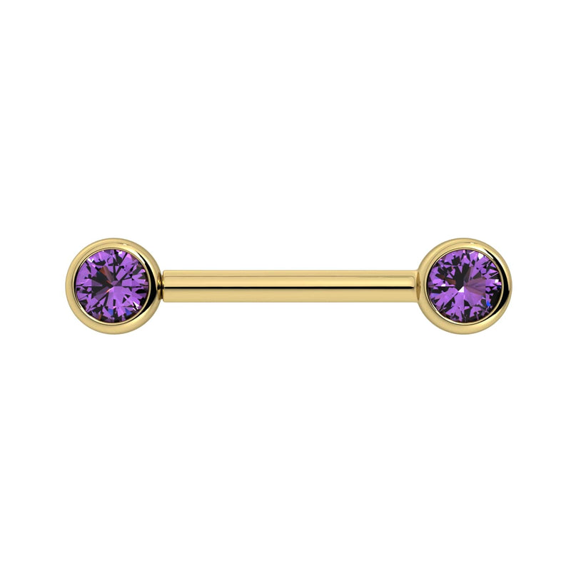 14K yellow gold nipple barbell with dual bezel-set 4mm amethyst stones, straight-on front view
