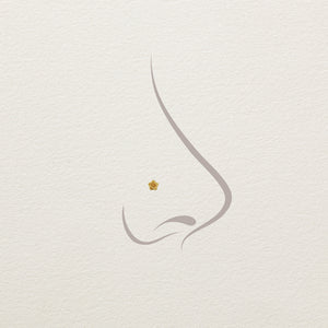 14k yellow gold rose threadless end shown in illustrated nose piercing for size and placement reference
