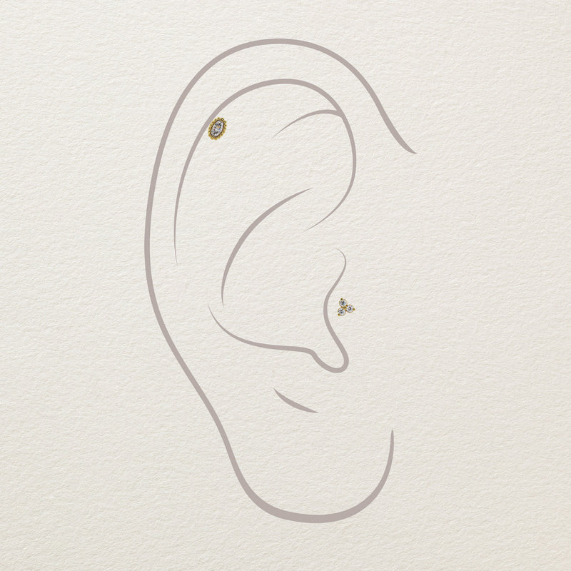 Illustration showing 14k gold milgrain marquise end placed in helix and lobe piercings