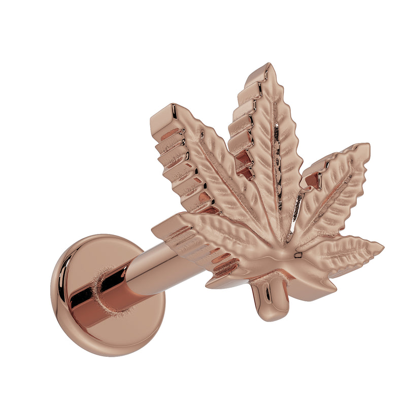 14K rose gold pot leaf flat back labret, angled view showing engraved leaf detail and flat disc backing