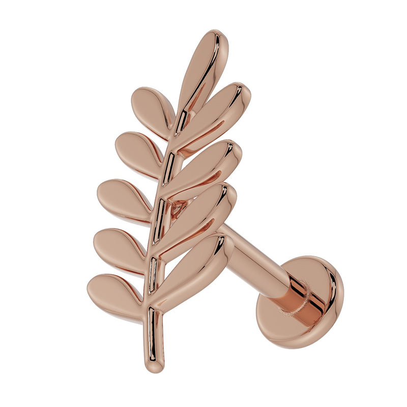 14K rose gold olive branch leaf flat back earring, left-facing angle showing polished leaf and flat back