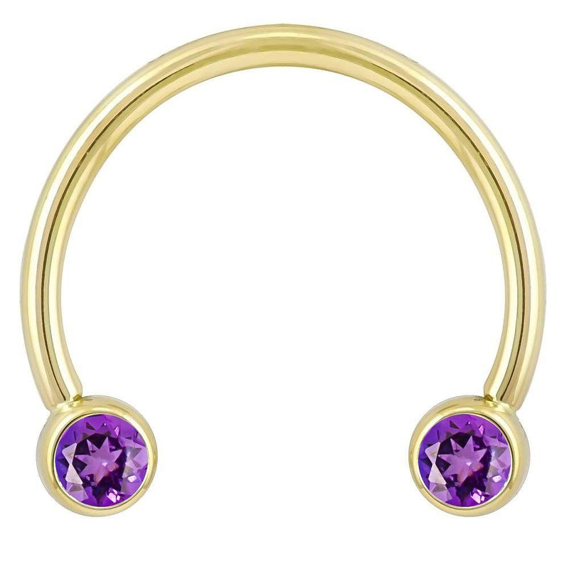 14k yellow gold circular barbell with purple CZ bezels, wider open-end view showing horseshoe shape