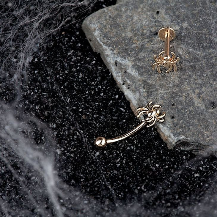 14K rose gold spider curved barbell and matching stud displayed on dark stone with cobweb styling