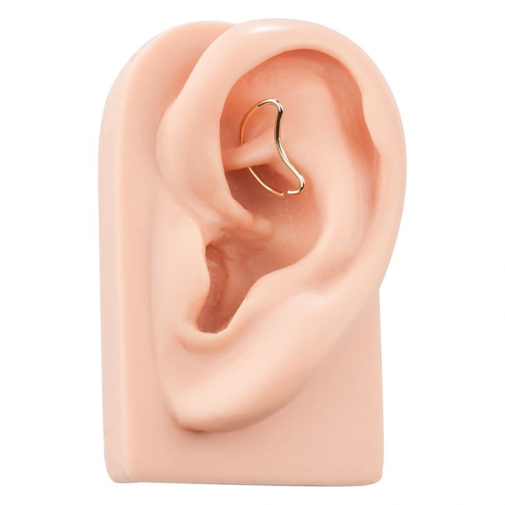 14K yellow gold moon seam ring shown in daith piercing on ear display model