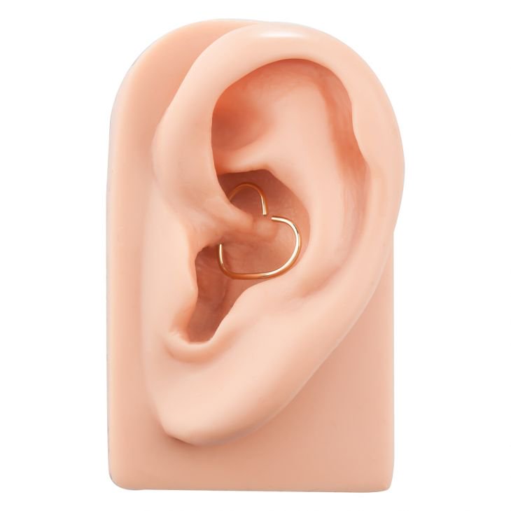 14K gold heart seam ring worn in daith piercing on silicone ear model, angled side view