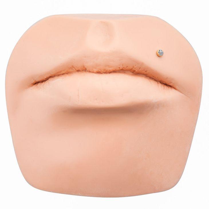 2mm CZ bezel gold flat back labret shown in labret lip piercing on silicone face model