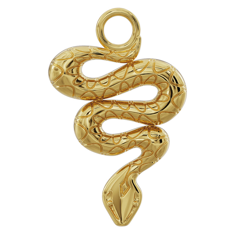 14K yellow gold coiled snake piercing charm with engraved scale detail, front view