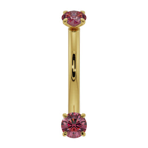 14k yellow gold ruby curved barbell with dual prong-set rubies, straight-on front view