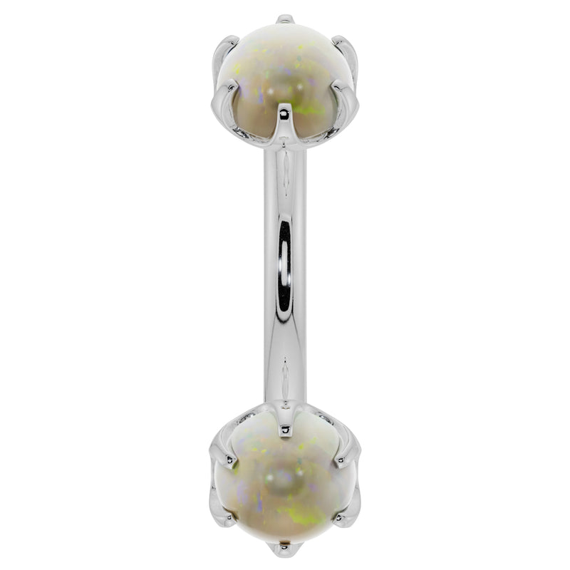 14k white gold opal prong-set curved barbell, front view with dual iridescent opal cabochons