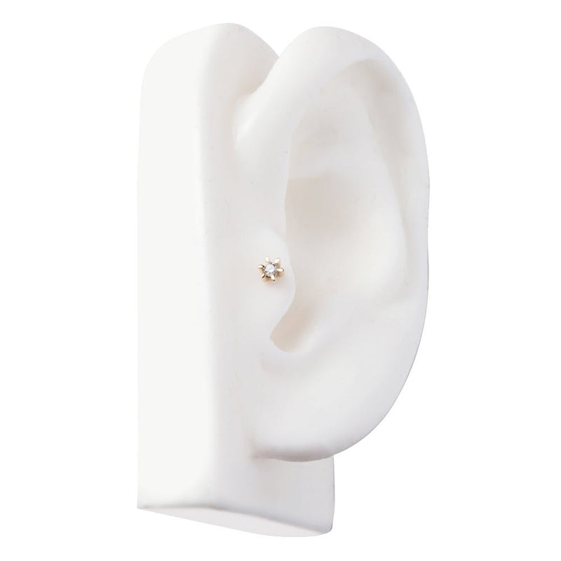 14k gold petite diamond flower labret stud in tragus piercing on white ear display, side profile
