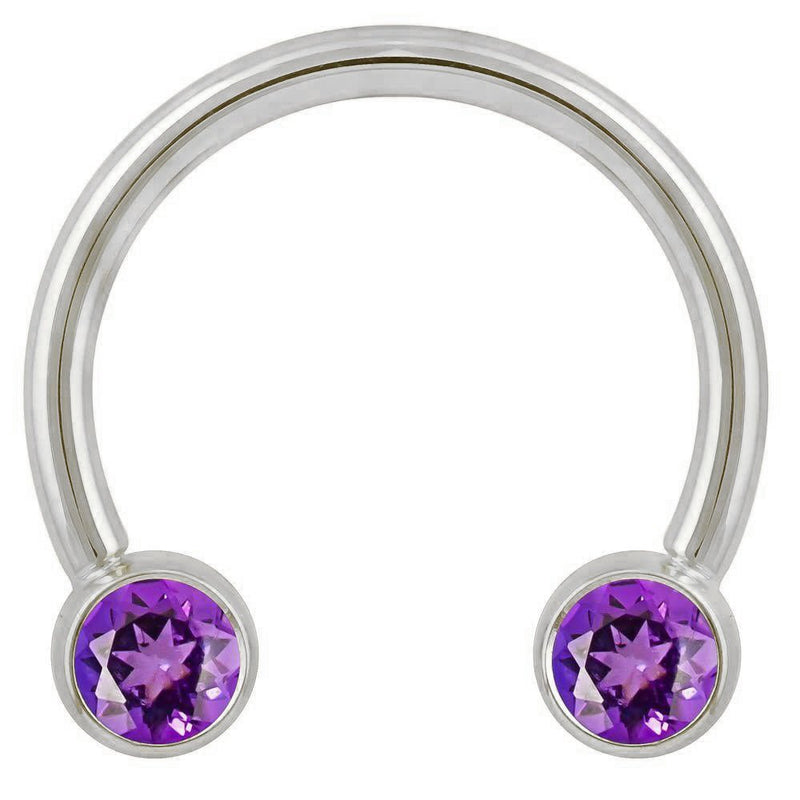 14k white gold circular barbell with dual purple CZ round bezel ends, front view on white