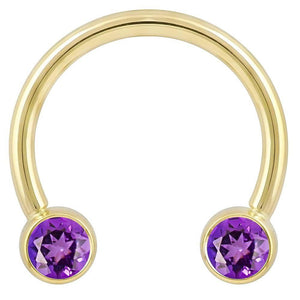 14k yellow gold circular barbell with dual purple CZ round bezel ends, front view on white