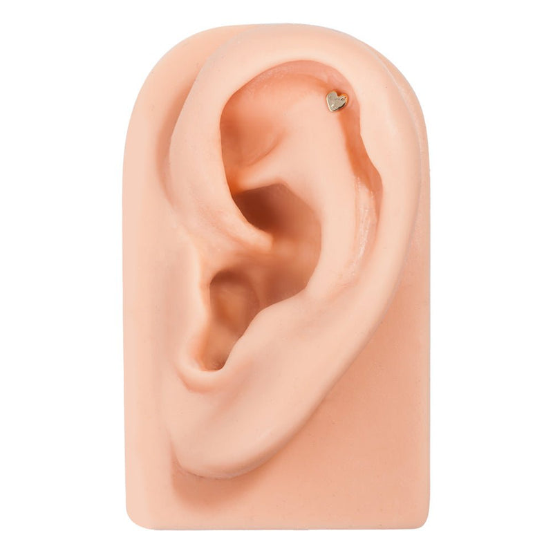 3mm hammered heart 14k gold flat back earring shown in tragus piercing on silicone ear model