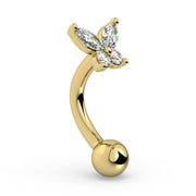 Side profile of 14k yellow gold butterfly rook barbell showing curved shaft and ball end