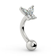 Side profile of 14k white gold butterfly rook barbell showing curved shape and round ball end