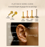 Flat back labret sizing guide showing 18G and 16G gauges from 5mm to 9.5mm with ear piercing map