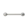 14K white gold nipple barbell with dual 3mm bezel-set diamonds, front view