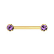 14K yellow gold nipple barbell with dual 3mm amethyst bezel-set gemstones, front view
