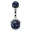 Front view of 14k white gold belly ring with dual black Akoya pearls in scroll prong setting