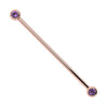14k rose gold industrial barbell with dual bezel-set 3mm amethyst gemstones, front view