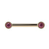 14k yellow gold straight barbell with dual 3mm pink diamonds in milgrain bezel settings, front view