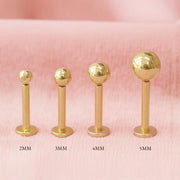 14K yellow gold ball labret studs in 2mm, 3mm, 4mm, and 5mm sizes compared side by side on pink backdrop