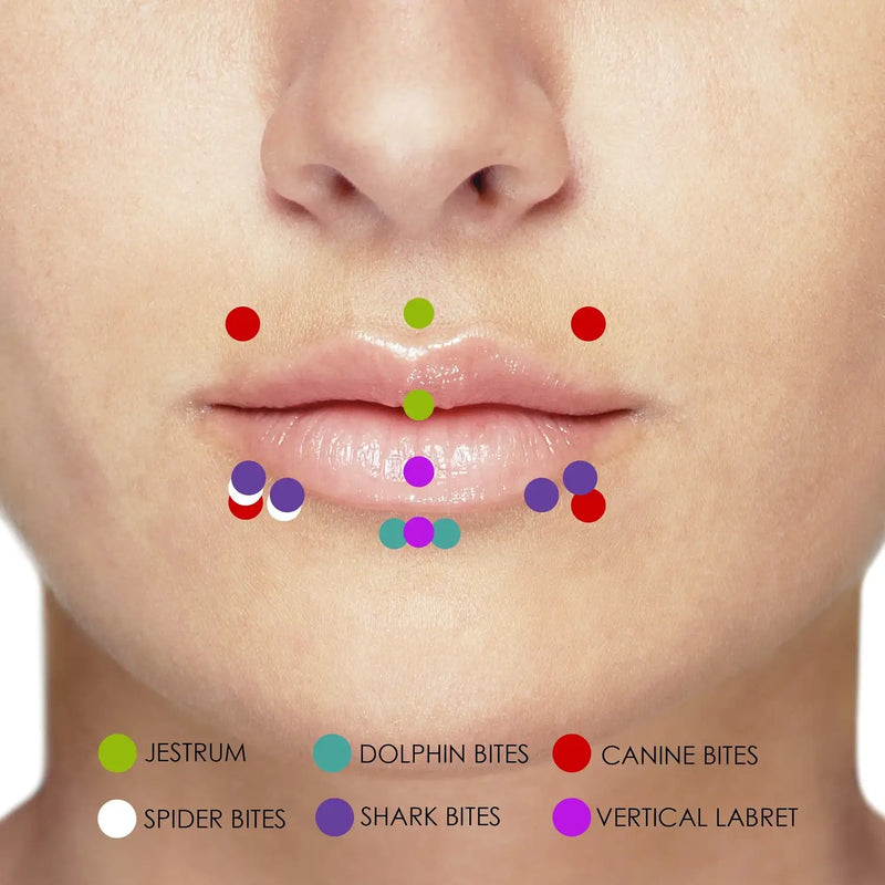 Close-up of a person's lips with color-coded lip piercings labeled below.