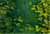 ecology