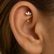 14k yellow gold marquise lotus curved barbell shown in a rook piercing for fit reference