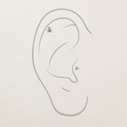 Diamond threadless stud end shown in helix and lobe piercings on illustrated ear diagram