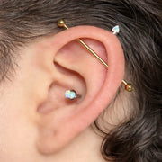 Gold industrial barbell shown in a cartilage piercing on a model's ear for fit and scale reference