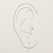 14k yellow gold rose threadless end styled in illustrated tragus piercing with a second lobe stud