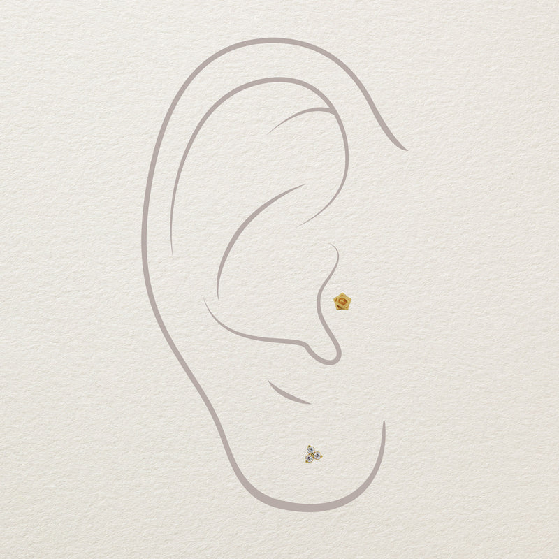 14k yellow gold rose threadless end styled in illustrated tragus piercing with a second lobe stud