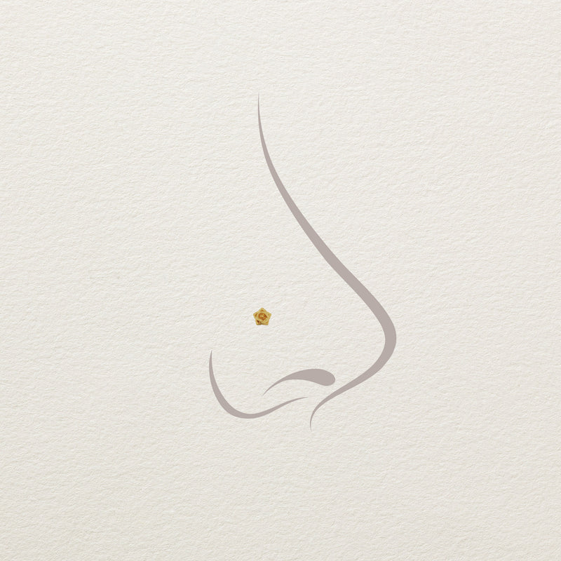 14k yellow gold rose threadless end shown in illustrated nose piercing for size and placement reference