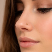 2mm solid 14k yellow gold star flat back stud worn in nostril piercing on model
