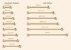 Straight barbell size chart - gauge and length reference for body jewelry