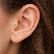 14k gold star labret stud shown in tragus piercing on model, highlighting minimal celestial style