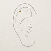 Illustrated ear diagram showing trinity diamond stud end placement at tragus and upper cartilage piercings