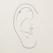 Illustration showing Bali Blossom 14k gold diamond stud in helix and conch ear piercings