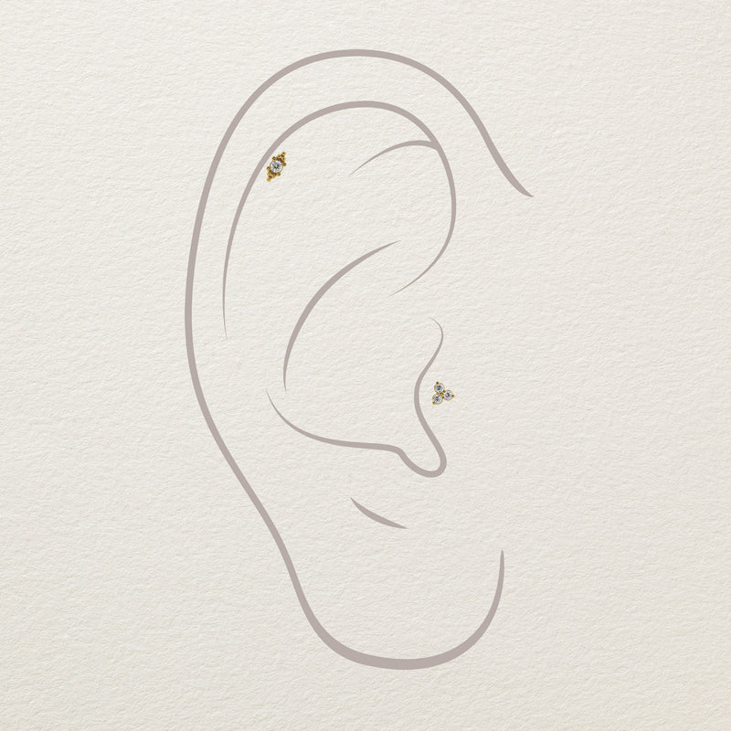 Illustration showing Bali Blossom 14k gold diamond stud in helix and conch ear piercings