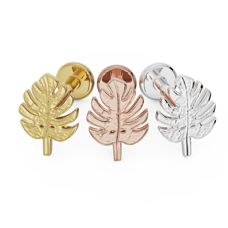 Monstera leaf flat back cartilage earring in all three metal options: 14K yellow gold, rose gold, and white gold
