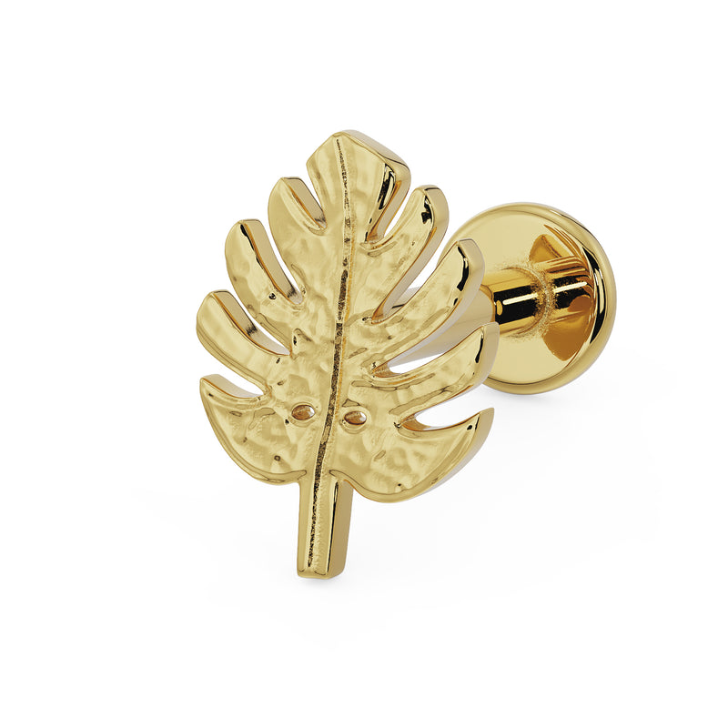 Monstera Deliciosa Palm 14K Gold Flat Back Earring 14K Yellow Gold / 16G (1.2mm) / 3/8