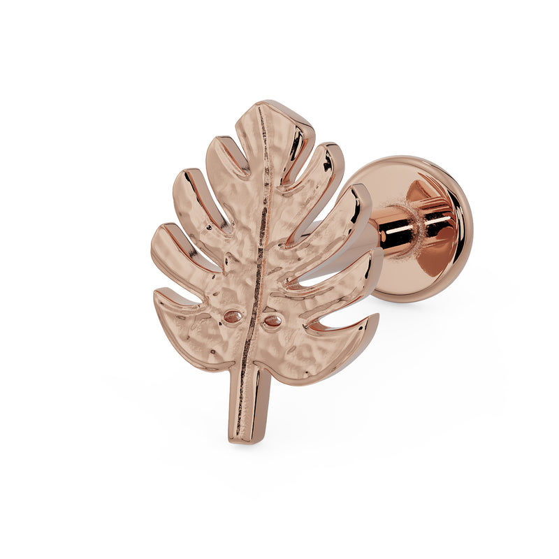14K rose gold monstera leaf flat back labret earring, angled view highlighting warm tone and leaf vein detail