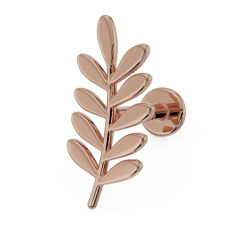 14K rose gold olive branch leaf flat back earring, angled front view showing polished leaf detail and disc back