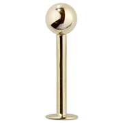 14K yellow gold 5mm ball flat back labret stud, full front view showing post and disc backing