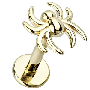 14K yellow gold spider flat back labret, 16 gauge with polished spider topper and disc backing