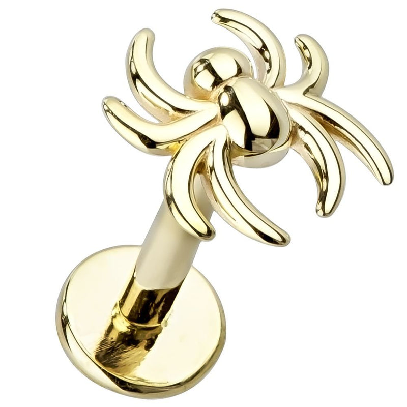 14K yellow gold spider flat back labret, 16 gauge with polished spider topper and disc backing