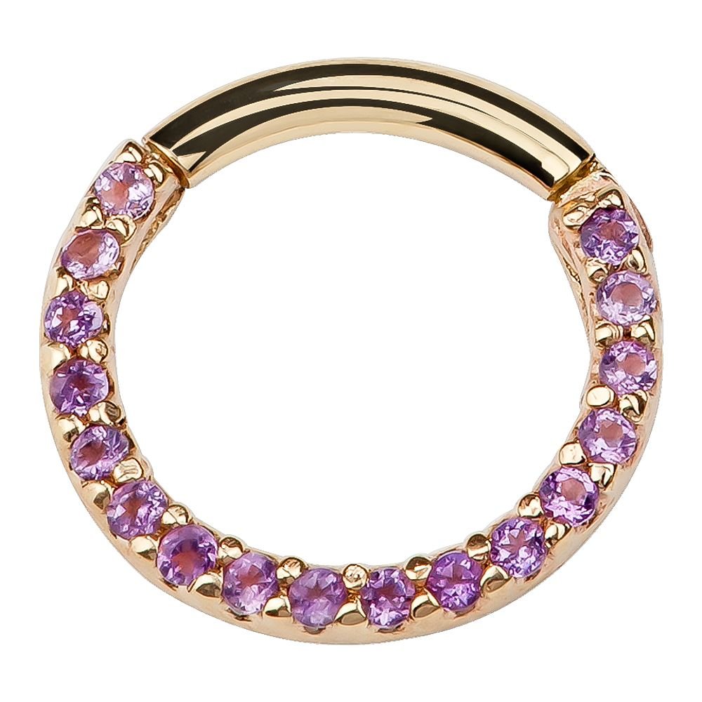 Purple CZ Pave 14K Gold Hinged Segment Clicker Ring-14K Yellow Gold   18G   3 16"