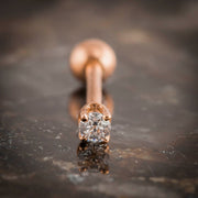 14k rose gold 2mm CZ cartilage stud front-on close-up showing four-prong basket setting detail
