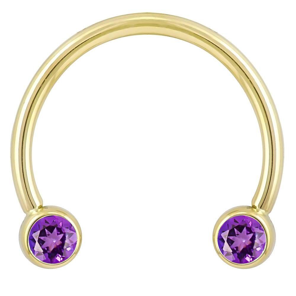 Purple Cubic Zirconia Round Bezel 14k Gold Circular Barbell-14K Yellow Gold   16G (1.2mm)   1 2" (13mm)